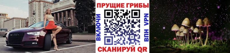 Купить закладки  Калуга  Псилоцибиновые грибы мухоморы 